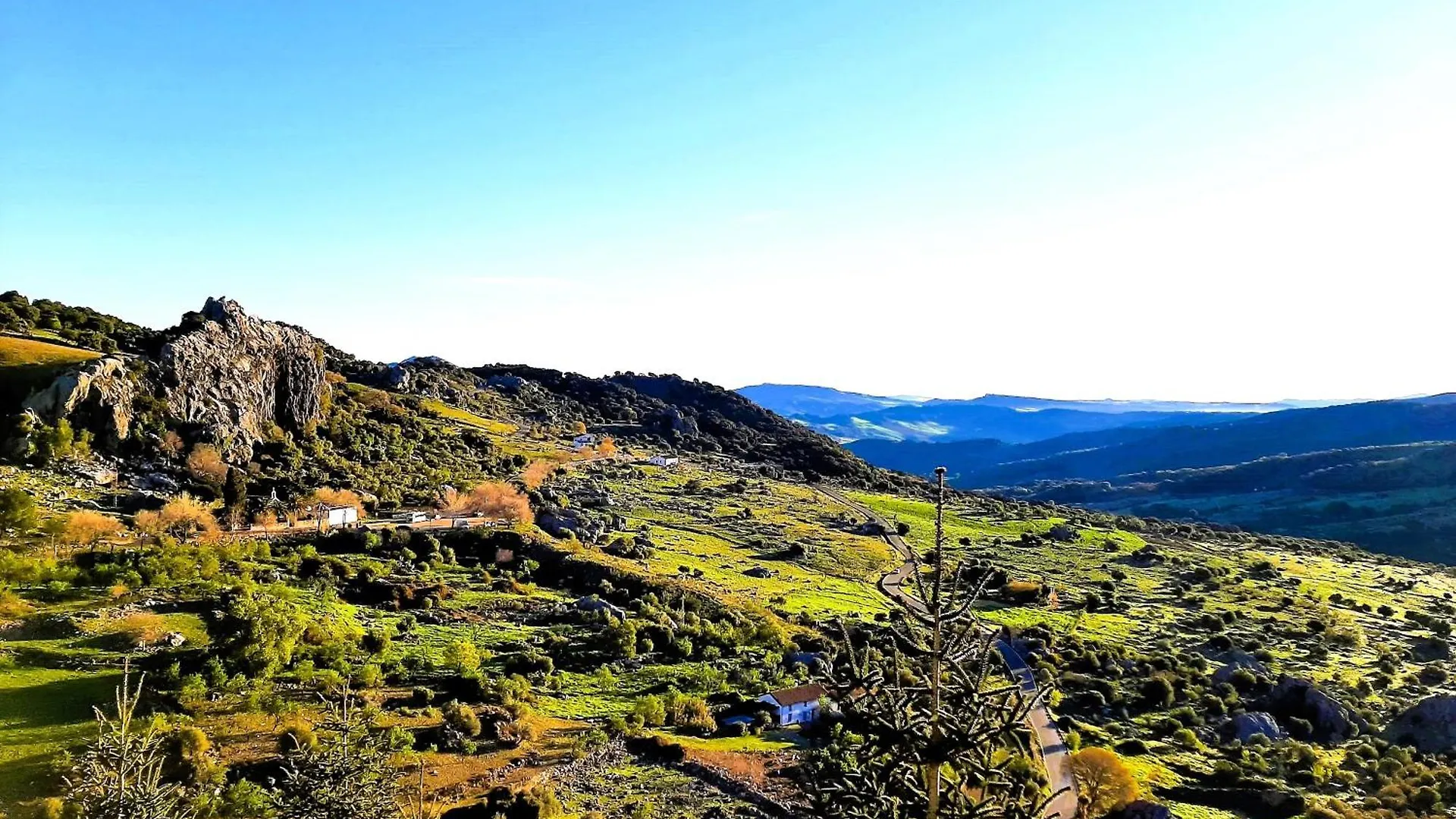 Σπίτι διακοπών Casa El Pequeno Boletus Βίλα Grazalema